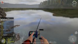 Голец Дрягина - как ловить река Нижния Тунгуска. Русская рыбалка 4