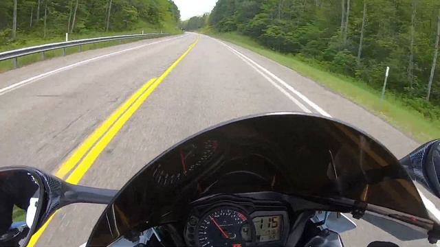 Trout Chronicles 12 Stress Relief смотреть онлайн