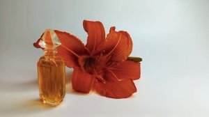 Обзор классического винтажного аромата Ysatis от Givenchy