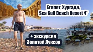 Египет 2022, Хургада, Sea Gull Beach Resort 4* + экскурсия Золотой Луксор
