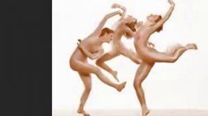 Pilobolus