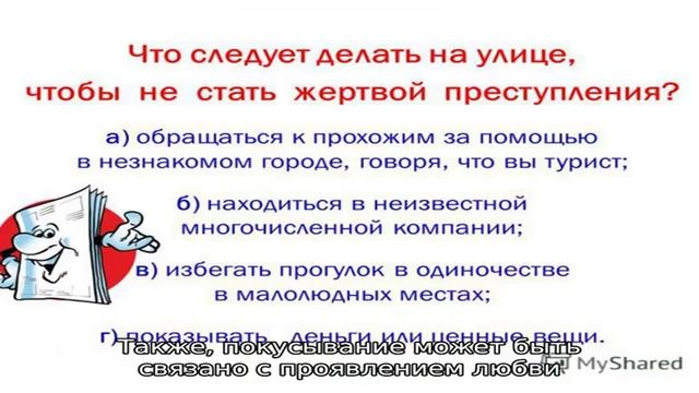 Как отучить кота кусаться и царапаться