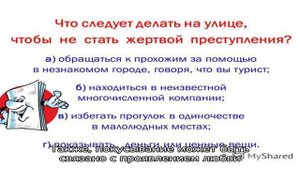 Как отучить котенка кусаться и царапаться