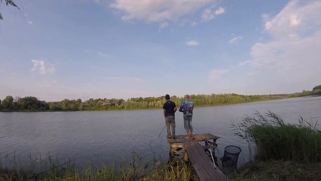 РЫБАЛКА на ОГРОМНЫХ ЗОЛОТЫХ КАРПОВ!!! / ОТКУДА ОНИ ТУТ ?! / 18+ / Ловля на БОЙЛЫ смотреть онлайн