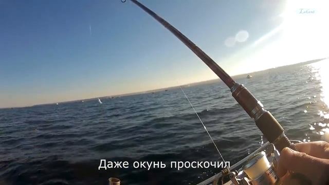 12 ноября 2016. Рыбалка с лодки на внешнем рейде г.Севастополь. смотреть онлайн