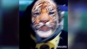 ПОДБОРКА ВИДЕО ИЗ ИНСТАГРАМА \ ИРИНА ГОРБАЧЕВА ВИДЕО\ АПРЕЛЬ 2016