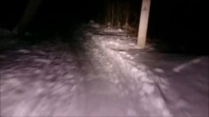 Прогулка на велосипеде по зимнему лесу ночью