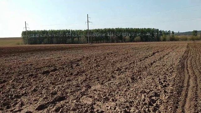 Подготовка почвы к посеву моркови