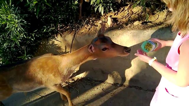 arbatax park resort telis 4 смотреть онлайн