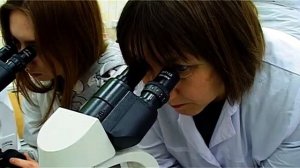 Педагог года.mp4