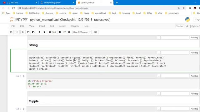 Python String  data type