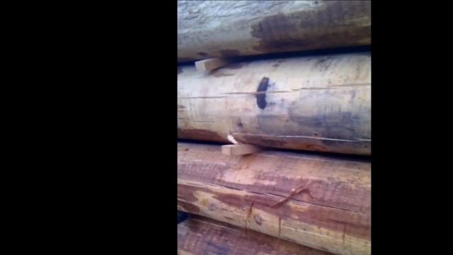 Cушка бревен красного канадского кедра смотреть онлайн