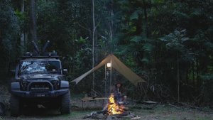 КЕМПИНГ и ОТДЫХ в тропическом лесу с моей собакой [приготовление пищи у костра, кемпер на Jeep Wrang