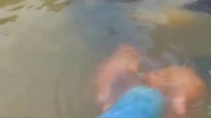 Насос для воды без электричества.