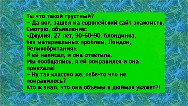 Блин, я жирная!!! ВЕСЕЛЫЙ анекдот дня. смотреть онлайн