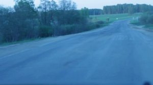 Безобразные дороги в Ивановской обл.