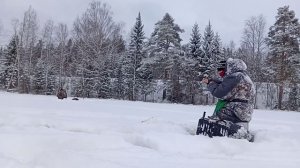 ВЛИП НА РОВНОМ МЕСТЕ. Поехал на рыбалку... Обсох в ночном лесу))