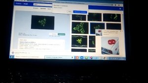 Как сделать картинку на обои пк
