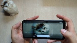 Nokia 8.3 5g. Распаковка и первый взгляд на флагман от Нокиа))