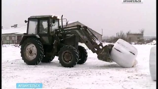 Представители сельхоз бизнеса обсуждали, как снижать цены на молочную продукцию смотреть онлайн
