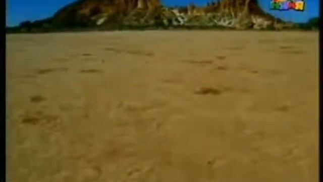 Субтропический климат!