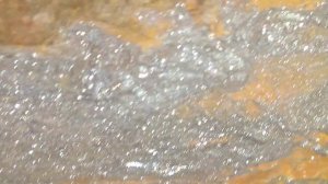 Californium5?