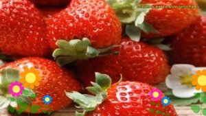 Земляника садовая Элиани. Краткий обзор, описание характеристик fragaria ananassa Elianny