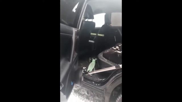 Проверка автомобиля на жучки