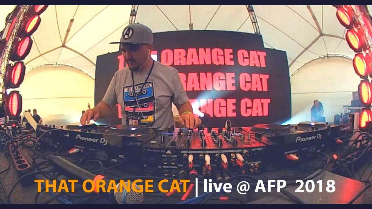 AFP 2018 Mix - THAT ORANGE CAT (aka Kuraj-Bambey) смотреть онлайн