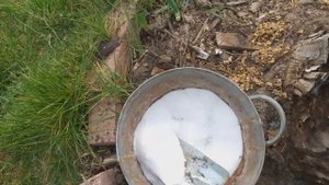 Как избавиться от пня на садовом участке.
