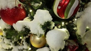 Парк Зарядье 10.12.2022