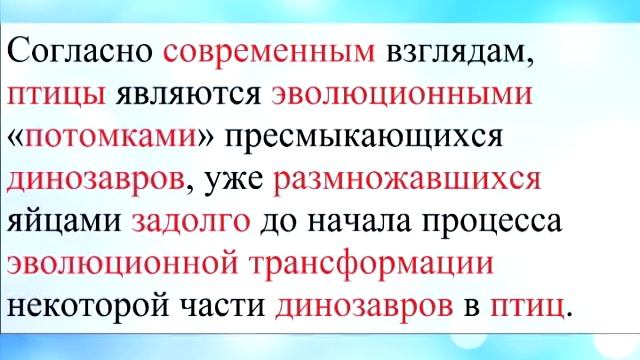 Что было первым Яйцо лил Курица? - Все обо всем