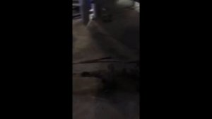 Постройка болотохода уаз ч1