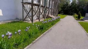 Церковь РОЖДЕСТВА ХРИСТОВА. Липецкая обл.Лебедянский рн.с.Шовское.