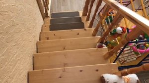 ДВЕРЬ ДЛЯ ДЕТЕЙ НА ЛЕСТНИЦУ, ОЧЕНЬ ПОЛЕЗНАЯ ШТУКА #STAIRS#WOODWORK #лестницаиздерева