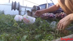 Сетки мешки под картофель и лук из полторашки