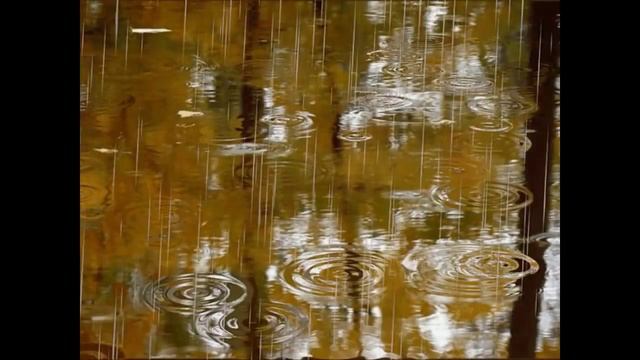 А Я ЕДУ ЗА ТУМАНОМ ЮРИЙ КУКИН смотреть онлайн