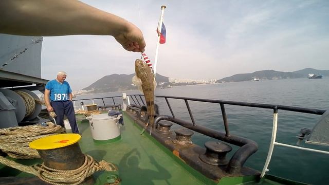 Рыбалка в Корее! Fishing in Korea! Макрель, скумбрия!