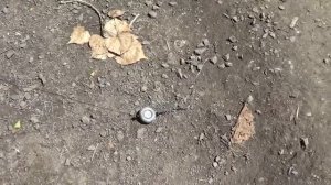Монреальская оснастка на осетра