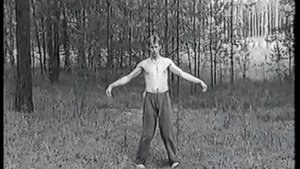 Вьетнамский Вин Чунь. Вин Чунь. Тао Нгу хин кхи конг "Дыхание пяти животных".