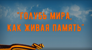 Голубь мира как живая память.mp4