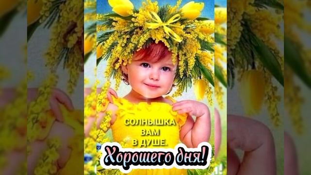 Доброе утро☀ ?⏰ Хорошего дня! ? смотреть онлайн
