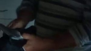 Мои голуби/Рябые,Старониколаевские,..../Голуби Виталия Ивановича.