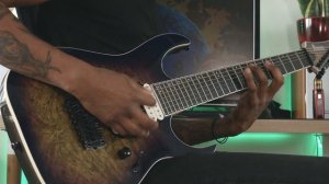 Periphery - Flatline (Guitar Cover)