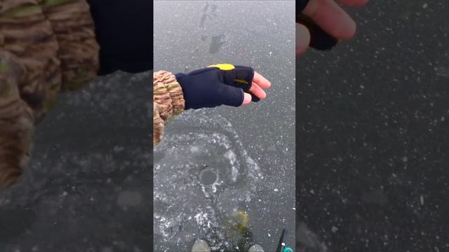 УШЛА КРАСАВИЦА!