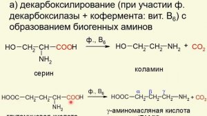 ЛЕКЦИЯ 4.  АМИНОКИСЛОТЫ, БЕЛКИ