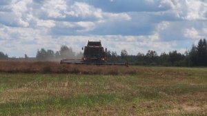 Уборочная 2021 Беларусь, Зерноуборочный комбайн ПАЛЕССЕ GS2124 (Gomselmash)