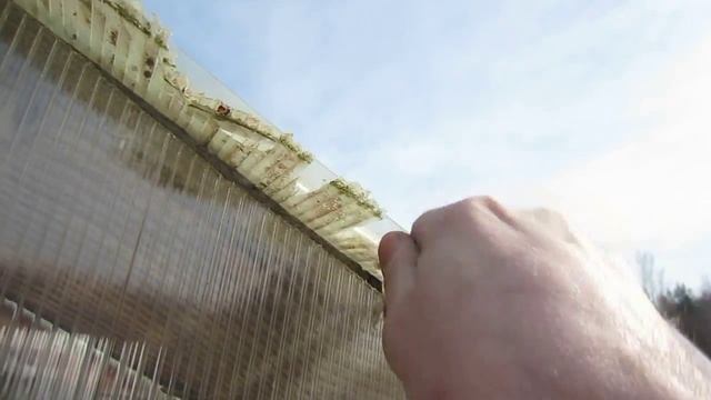 Поликарбонат.Ровно 6 лет прошло. Раз смотреть онлайн