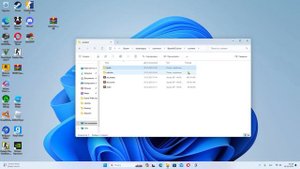 КАК ДОБАВИТЬ МОД НА БИМКУ??(ЛИЦЕНЗИОННАЯ)