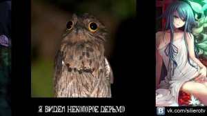 Прохождение Saya no Uta (Песнь Сайи), часть 5